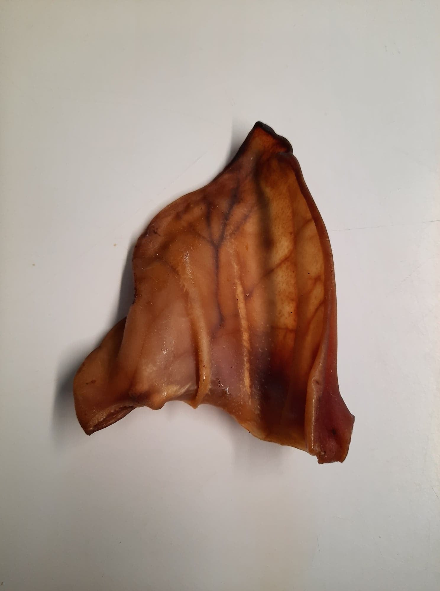 Pigs Ears x 1 Cave Dog ltd